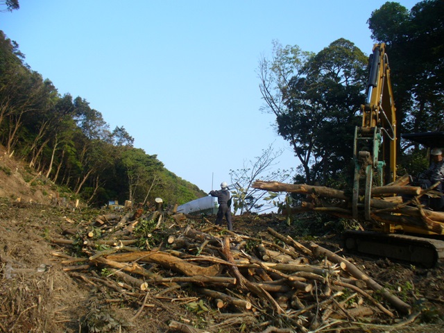 photo:伐採工事